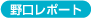 野口レポート